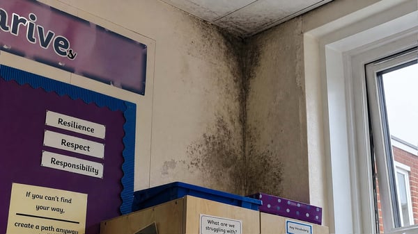 Mouldy school case study