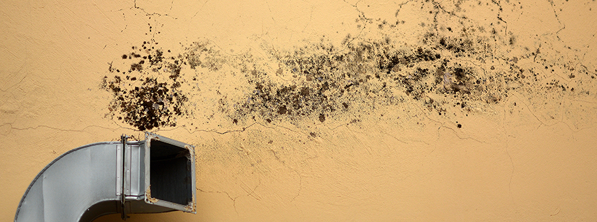 Hero Background Priority