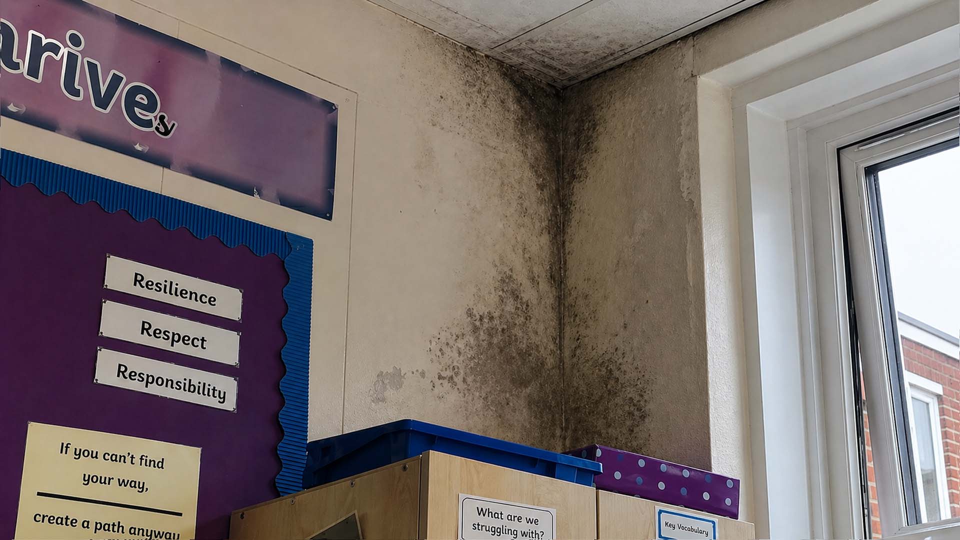 Mould Survey at a Salisbury&nbsp;School: Case Study